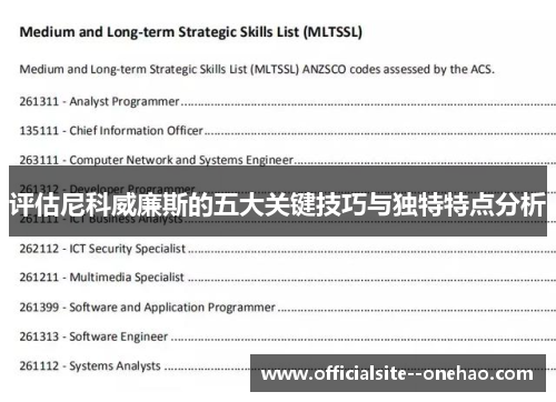 评估尼科威廉斯的五大关键技巧与独特特点分析