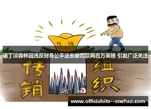 诺丁汉森林因违反财务公平法案被罚款两百万英镑 引发广泛关注