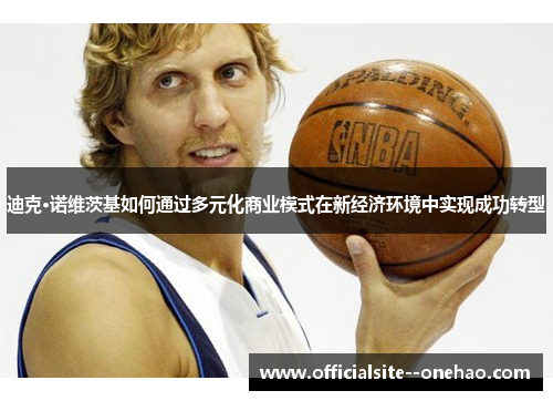 迪克·诺维茨基如何通过多元化商业模式在新经济环境中实现成功转型